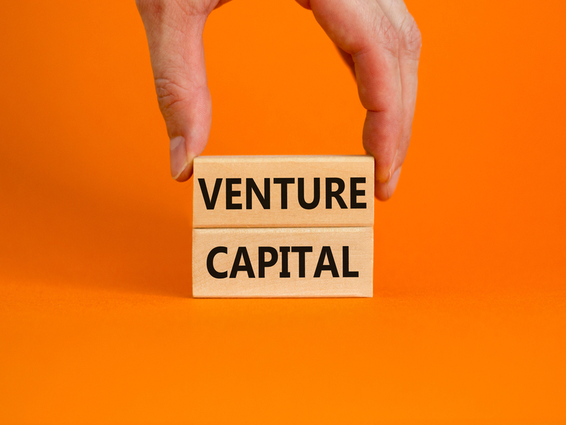 venture capital brasil